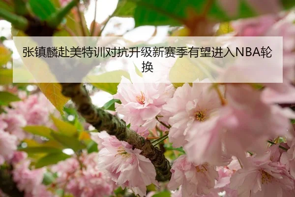 zhang-zhen-lin-fu-mei-te-xun-dui-kang-sheng-ji-xin-sai-ji-you-wang-jin-ru-lun-huan-1-888.jpg